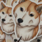 Shiba Inu Sticker